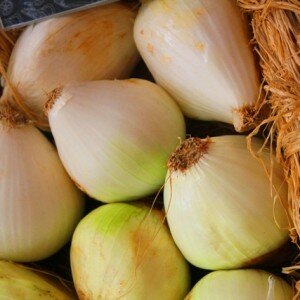 Health Benefits and Unknown Uses of Onions